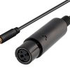 Xpand Universal 3-pins til mini-jack overgang (for Sony XW7000)