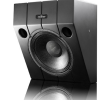 Ascendo Immersive Audio The10 Passive Wedge 30 1stk