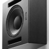 Ascendo Immersive Audio The12 Be Pro Passive Wedge 1stk
