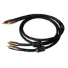 Tonewinner AC-1 RCA 1M PAR