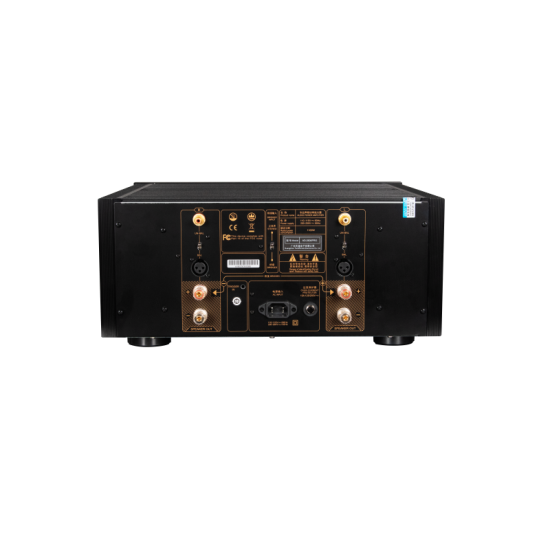 Bakpanelet på Tonewinner AD-2500PRO med XLR, RCA, trigger og brokoblet modus