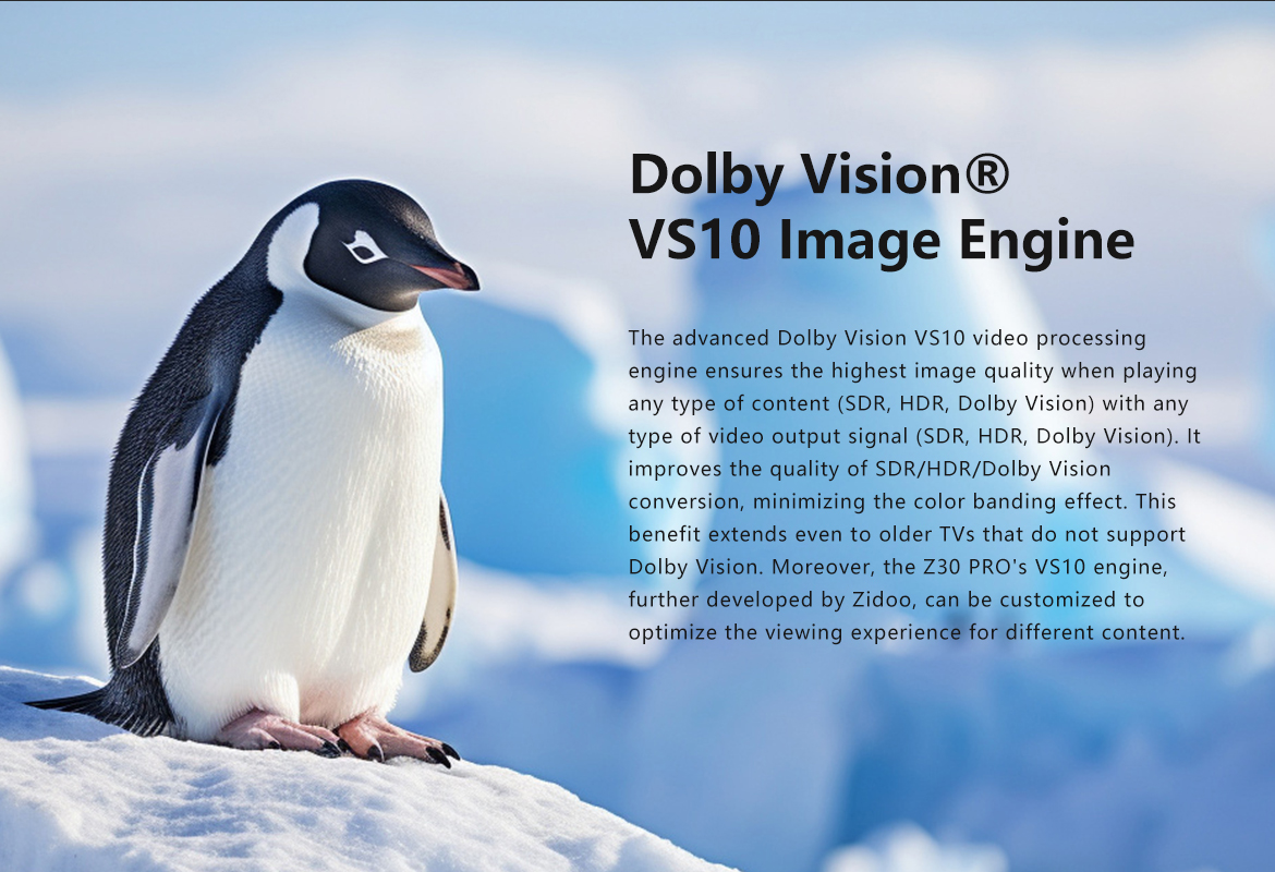 Dolby Vision VS10 Image Engine på Zidoo Z30 Pro