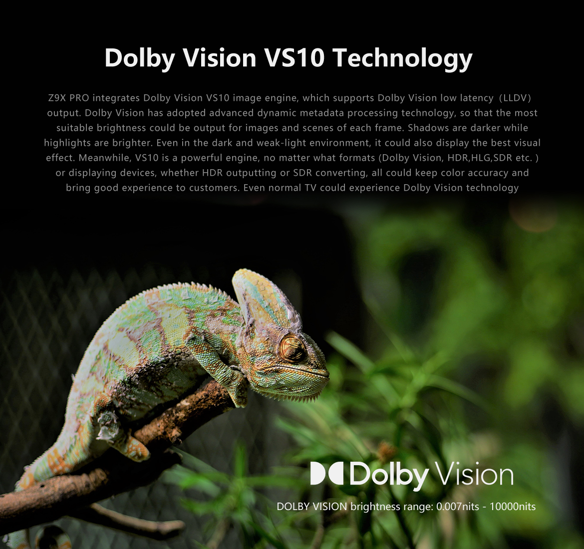 Dolby Vision VS10 på Zidoo Z9X Pro